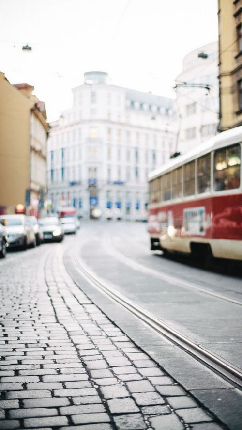 晚安心语:在自己的世界里孤芳自赏,在别人的世界里随遇而安