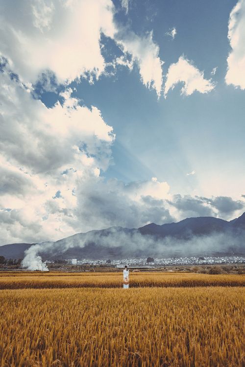 早安心语:别嫌弃一直陪你的人,别陪一直嫌弃你的人