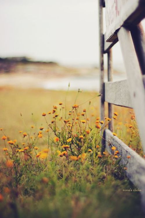 晚安心语:不要高估两年内的自己,也不要低估十年后的自己