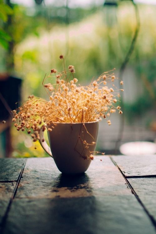 早安心语:有皱纹的地方只表示微笑曾在那儿呆过