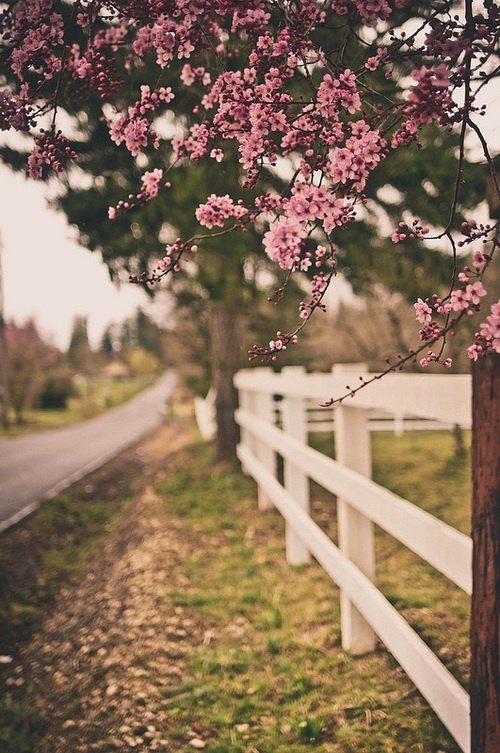 晚安心语:爱得深,爱得早,都不如爱的时候刚刚好