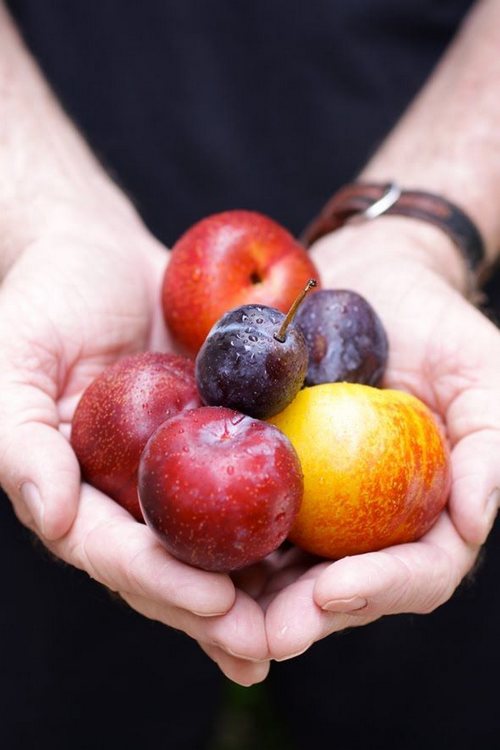 晚安心语:爱得深,爱得早,都不如爱的时候刚刚好
