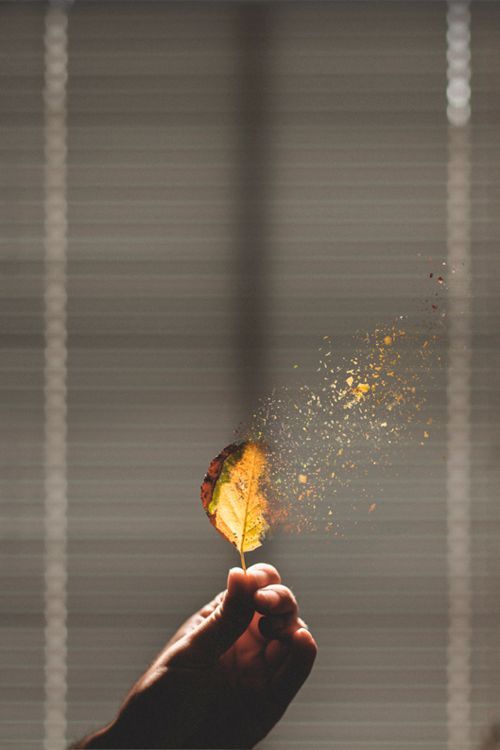 晚安心语:如果有个人对你特别好,记得千万别把那个人弄丢了