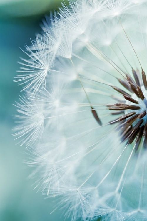 晚安心语:如果有个人对你特别好,记得千万别把那个人弄丢了