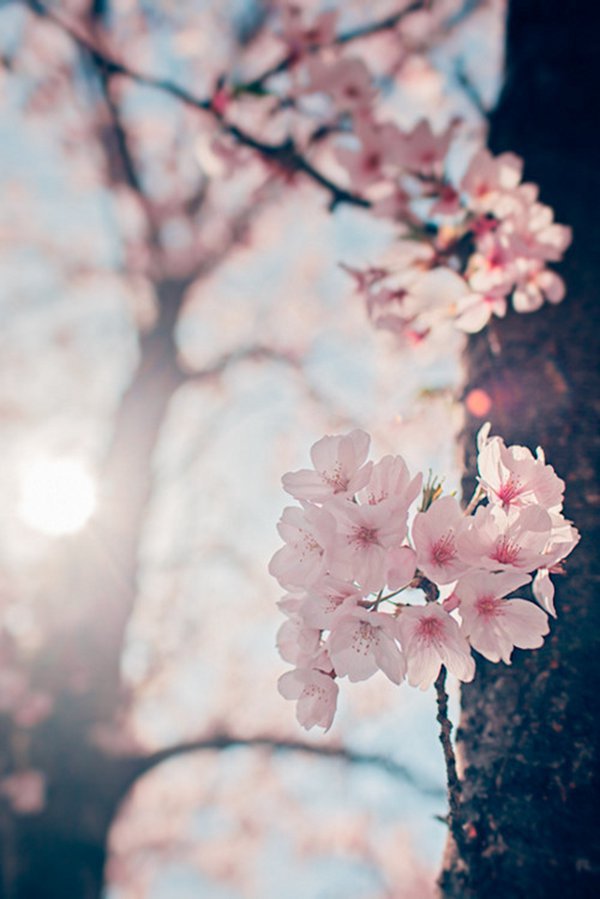 晚安心语:最想的人是你,最不想打扰的人也是你