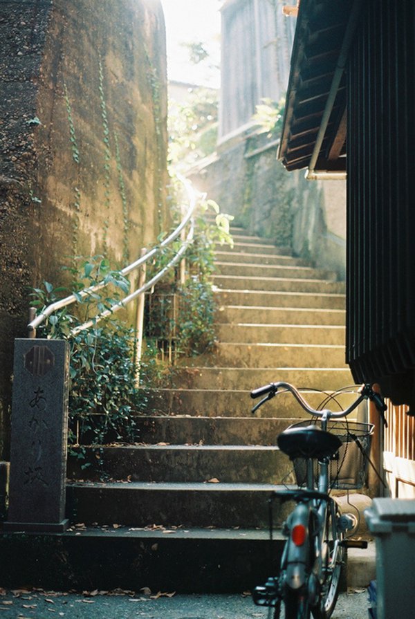 早安心语:一个人只有和自己相处好了,才能更好的拥抱这个世界