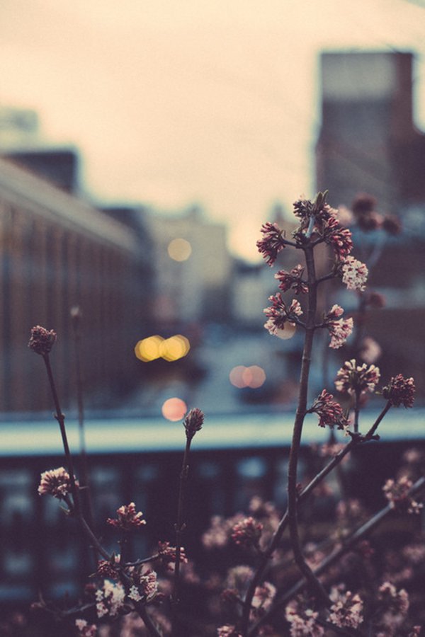 晚安心语:情绪这东西,你不在乎,它就伤不到你