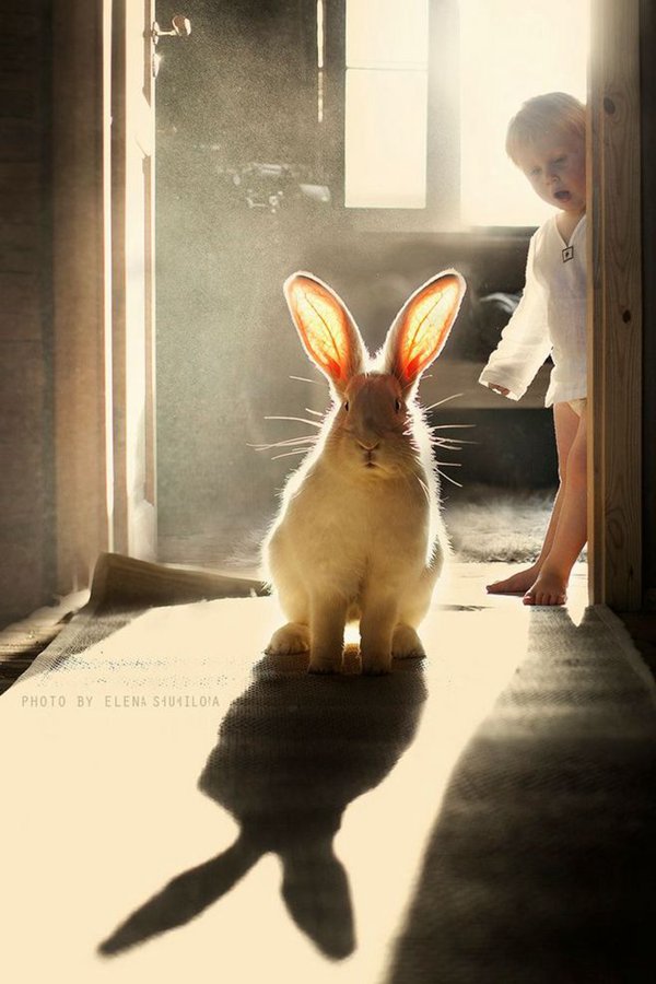 早安心语:有时候你以为天要塌下来了,其实是自己站歪了