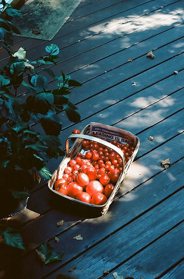 晚安心语:你能无底线的原谅谁,谁就能无底线的伤害你