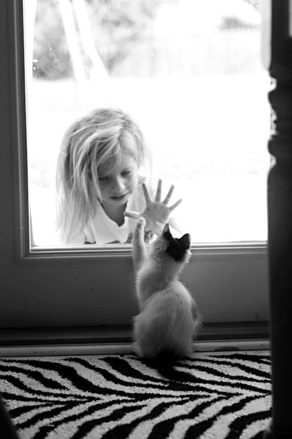 晚安心语:你能无底线的原谅谁,谁就能无底线的伤害你