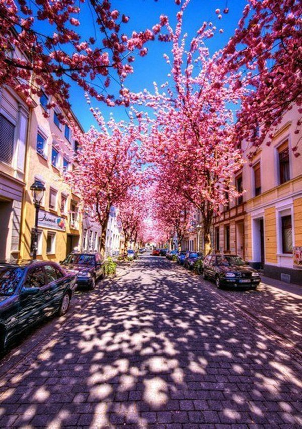 早安心语:做一个寡言,却心有一片海的人