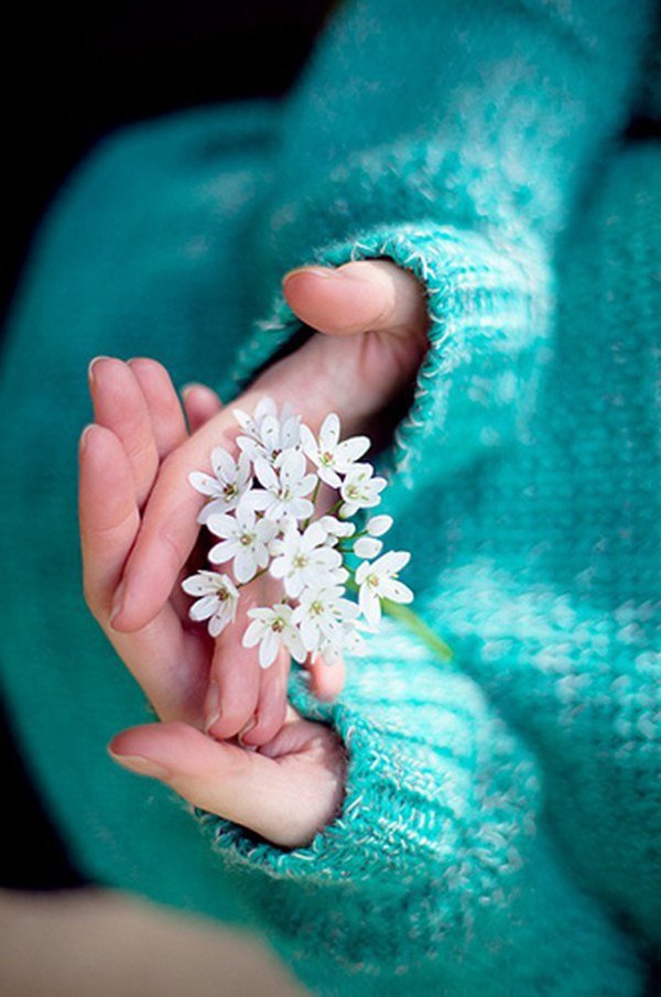 早安心语:做一个寡言,却心有一片海的人