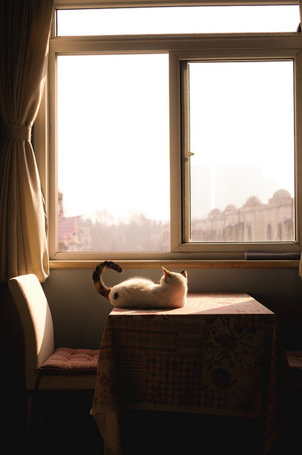 早安心语:做一个寡言,却心有一片海的人