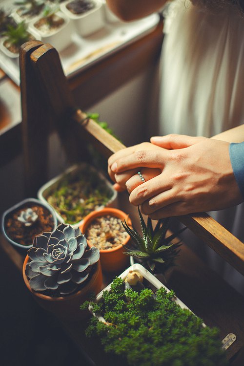 晚安心语:我不再看远方,只把目标放在前面3米远处