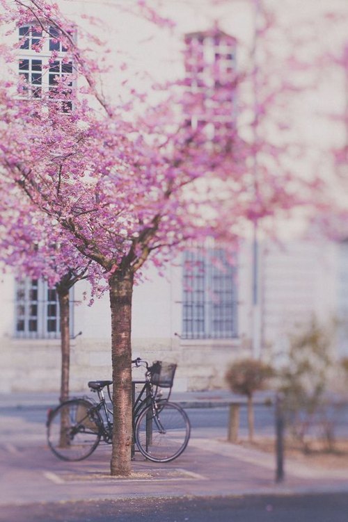 晚安心语:我不再看远方,只把目标放在前面3米远处