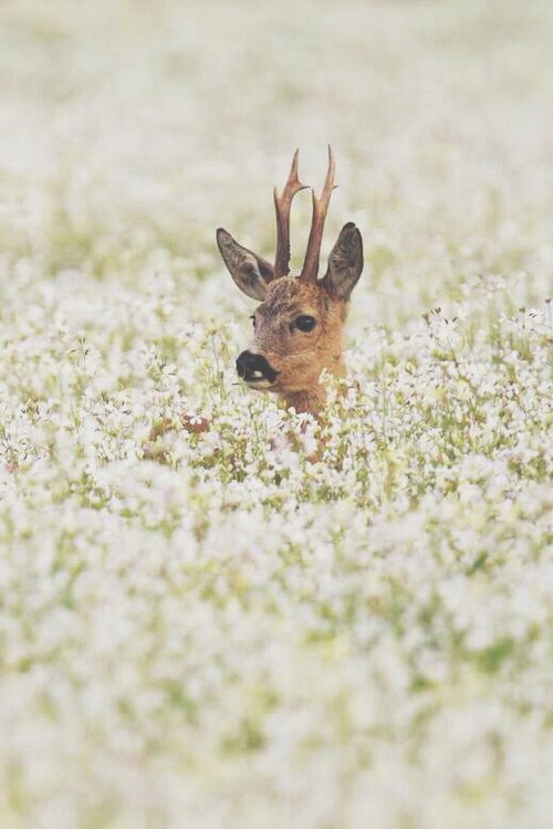 晚安心语:我不再看远方,只把目标放在前面3米远处