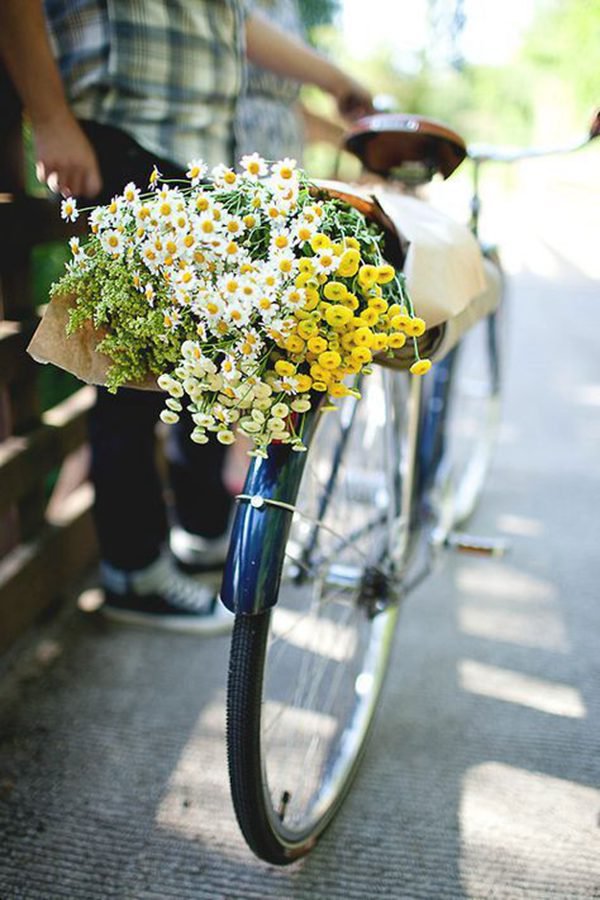 晚安心语:从前不回头,往后不将就