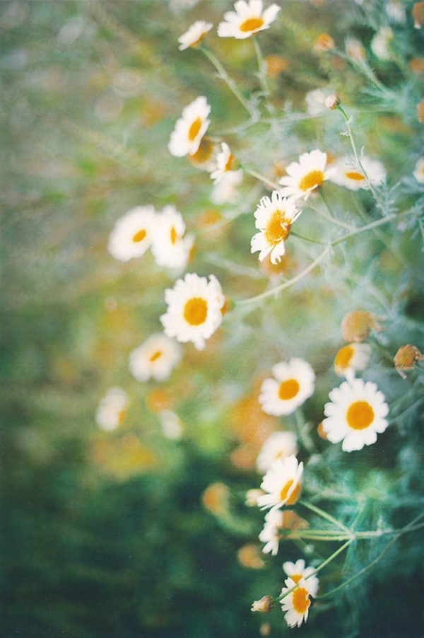 晚安心语:从前不回头,往后不将就