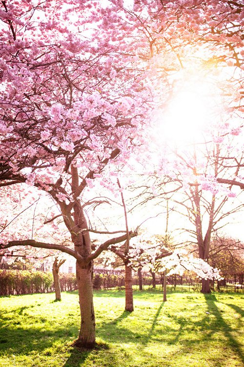 早安心语:当你变好,你才配得起更好