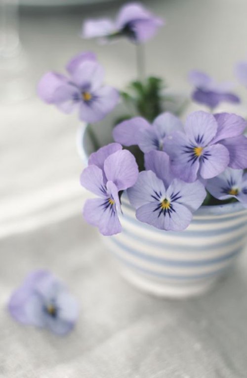 早安心语:当你变好,你才配得起更好