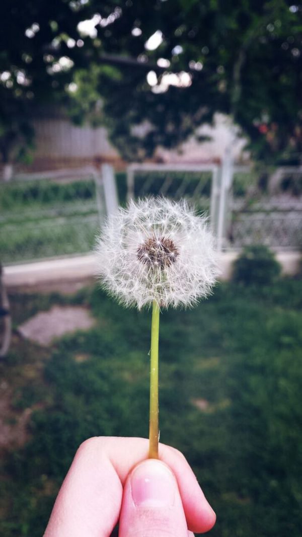 早安心语:因为孤独是生命的常态,所以陪伴才显得格外珍贵