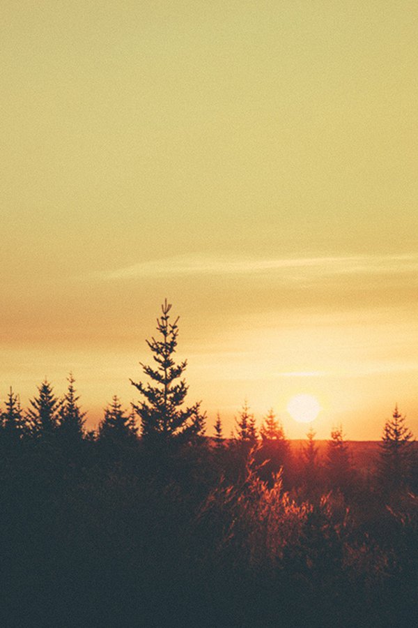 早安心语:晚点在一起,然后一辈子