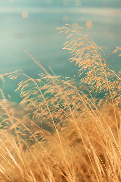 早安心语:天冷记得多加衣,一个人也有好风景