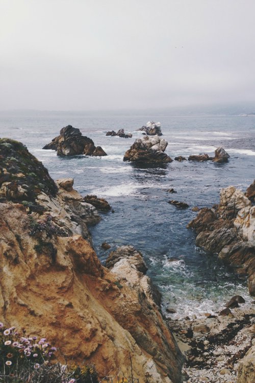 早安心语:天冷记得多加衣,一个人也有好风景