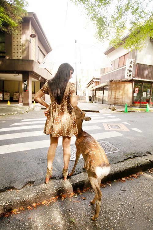 早安心语:天冷记得多加衣,一个人也有好风景