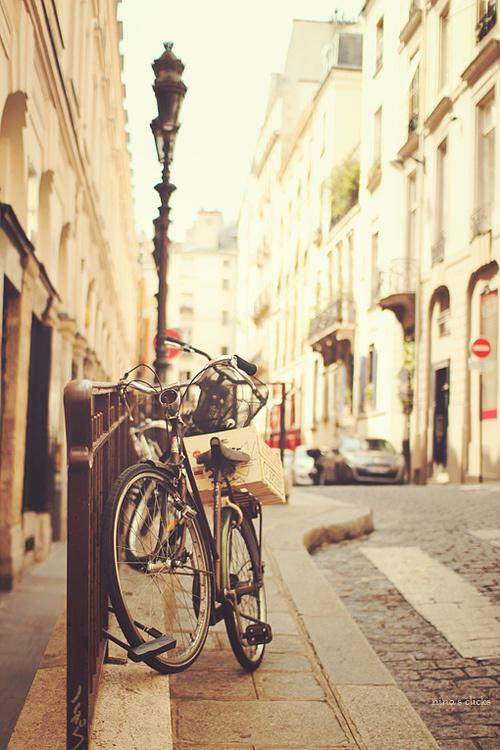 晚安心语:要习惯任何人的忽冷忽热,也要看淡任何人的渐行渐远