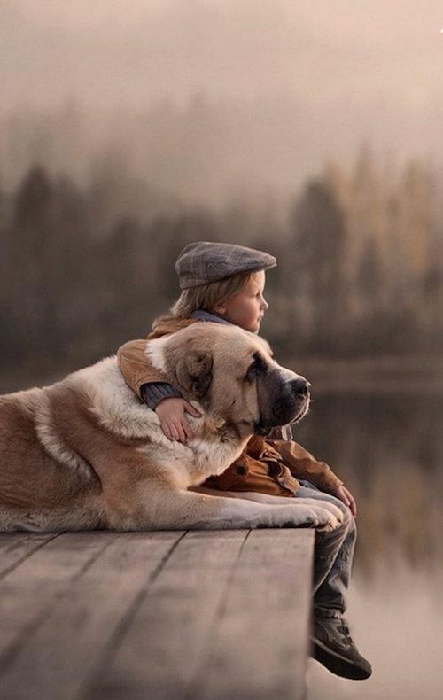 晚安心语:要习惯任何人的忽冷忽热,也要看淡任何人的渐行渐远