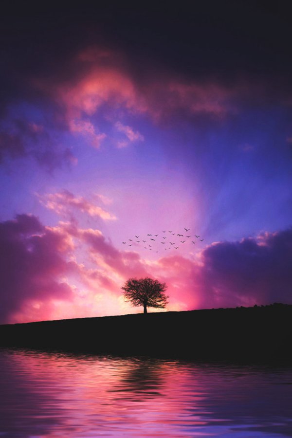 晚安心语:我们常常不去想自己拥有的东西,却对得不到的东西恋恋不忘