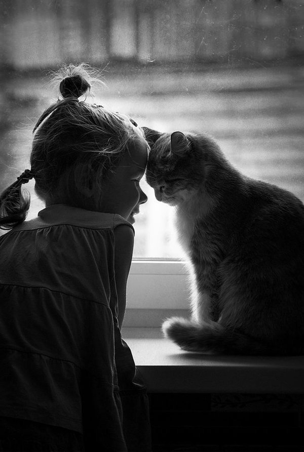 晚安心语:我们常常不去想自己拥有的东西,却对得不到的东西恋恋不忘