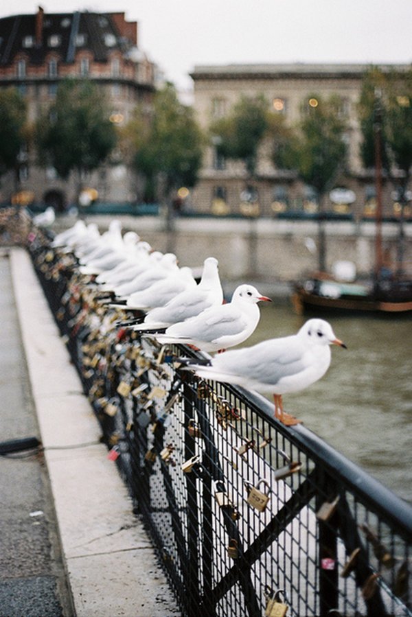 晚安心语:我们常常不去想自己拥有的东西,却对得不到的东西恋恋不忘