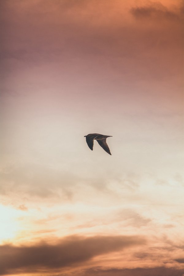 早安心语:没什么好抱怨的,今天的选择都是明天的伏笔