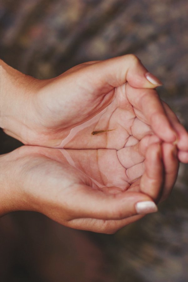 早安心语:没什么好抱怨的,今天的选择都是明天的伏笔