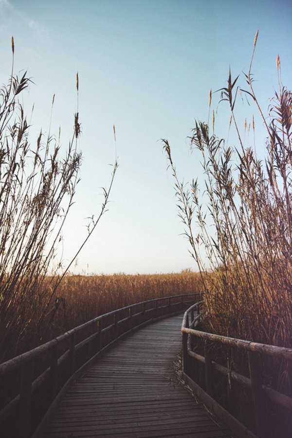 早安心语:没什么好抱怨的,今天的选择都是明天的伏笔