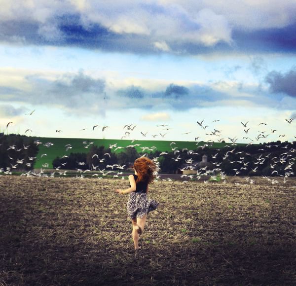 李月亮:爱为财死