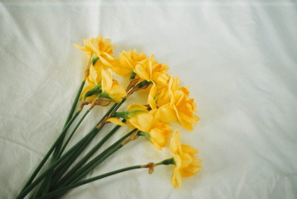 何书桓为什么不爱如萍?