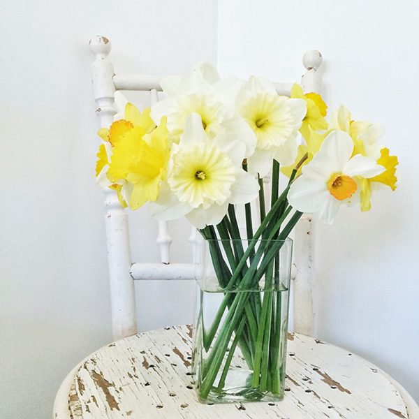 何书桓为什么不爱如萍?