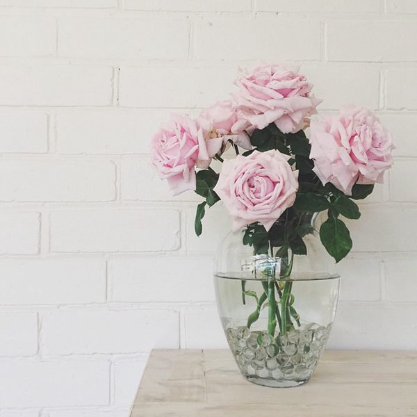 何书桓为什么不爱如萍?