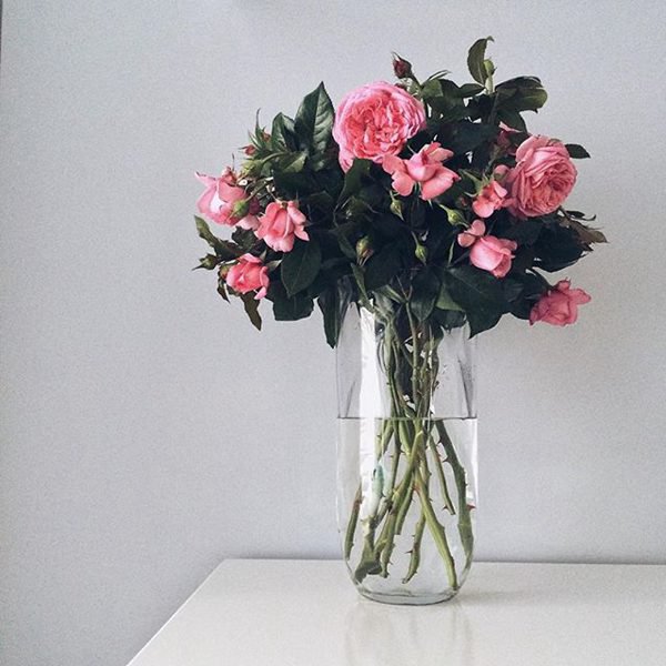 何书桓为什么不爱如萍?