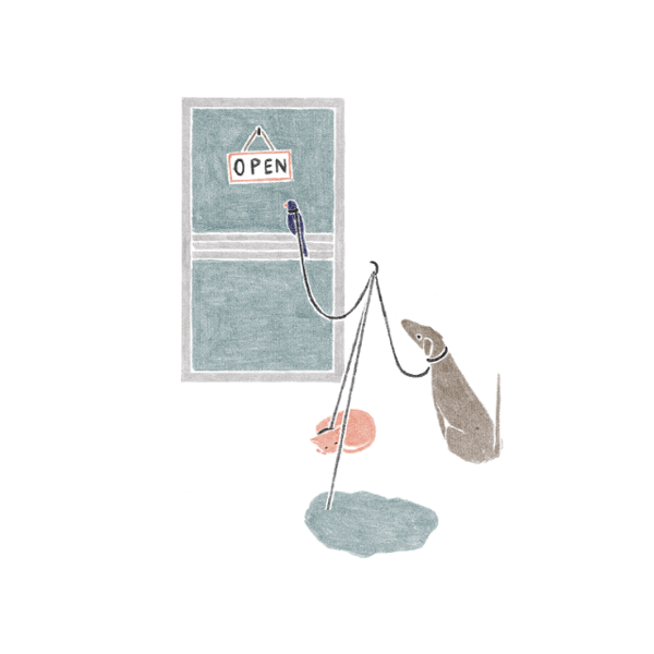 插画艺术家Thoka Maer 让世界温柔地动了起来的gif作品