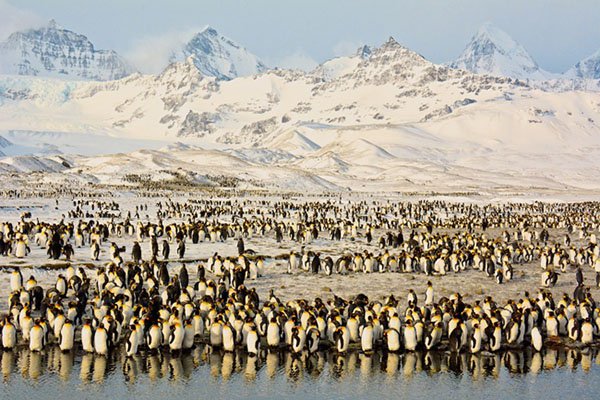 2025年国家地理杂志旅行摄影师大赛佳作