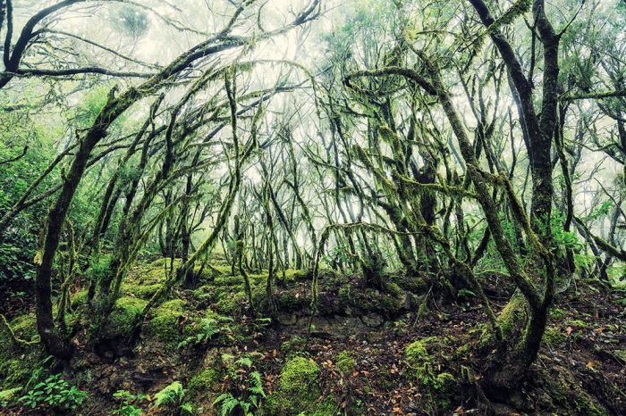 摄影师Lukas Furlan 用极限运动视角展现震撼自然之景