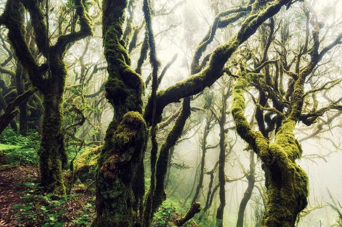 摄影师Lukas Furlan 用极限运动视角展现震撼自然之景