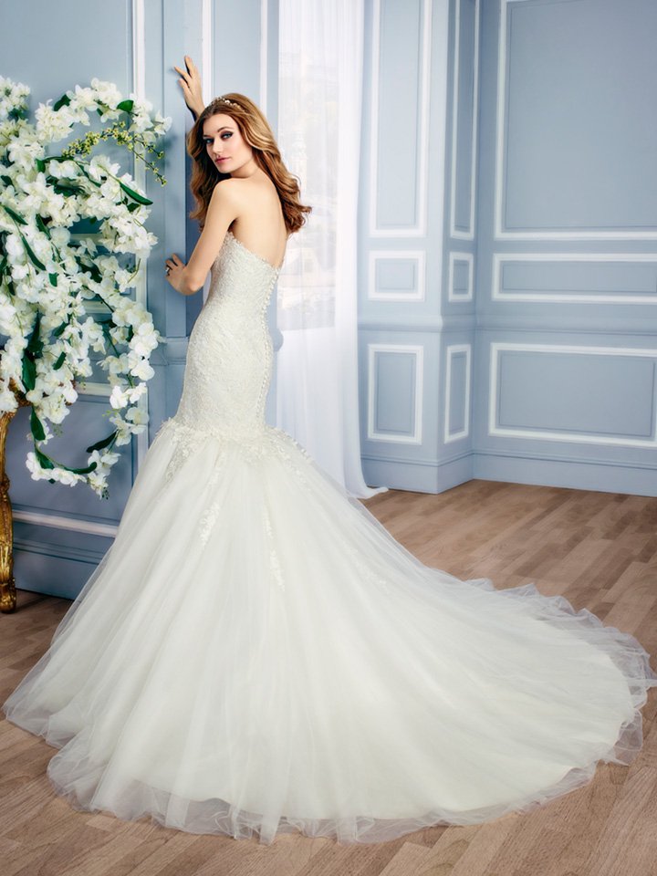 Moonlight Collection 2025秋冬婚纱礼服系列