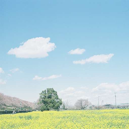 有哪些让你很惊艳的小诗