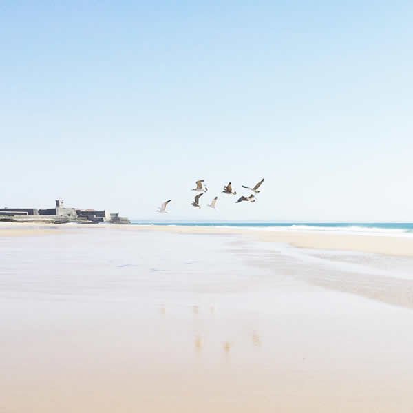 我们相隔的不仅是时间,还有渐行渐远的价值观