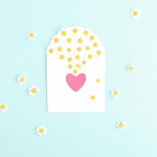 有没有教养只看这一点